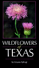 Texas Wildflowers