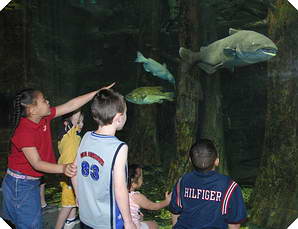 Kids looking at Splash